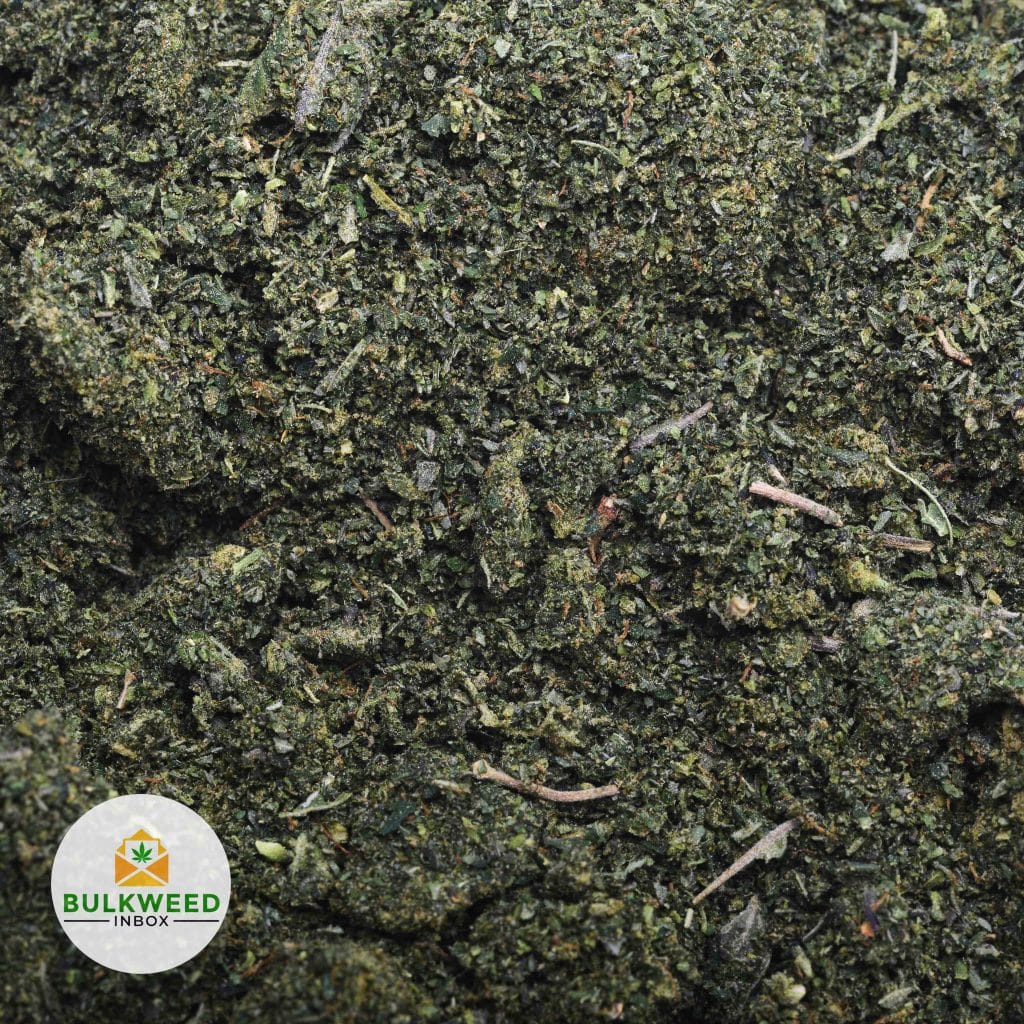 GREEN-CRACK-SHAKE