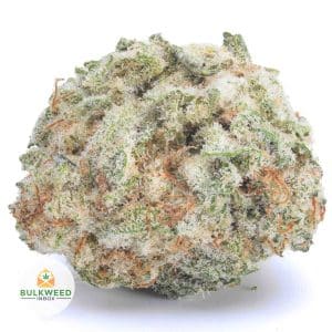 LEMON-POUND-CAKE-AAA1-2