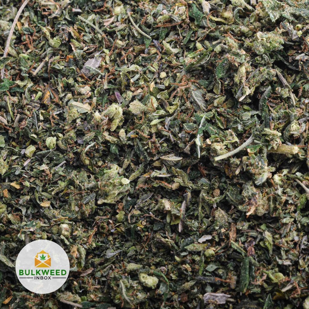 MASTER-KUSH-SHAKE-WEED