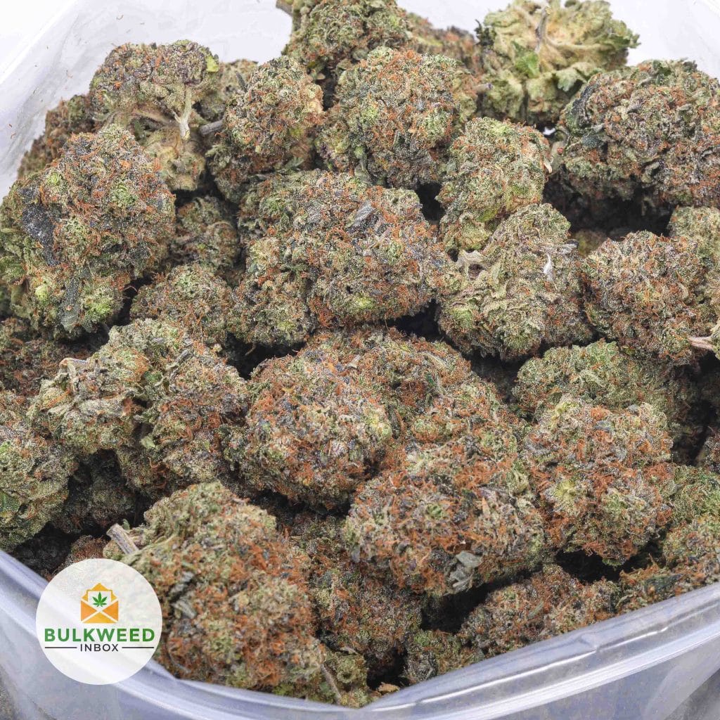 MIKE-TYSON-NELSON-FARM-CRAFT-AAAA-2