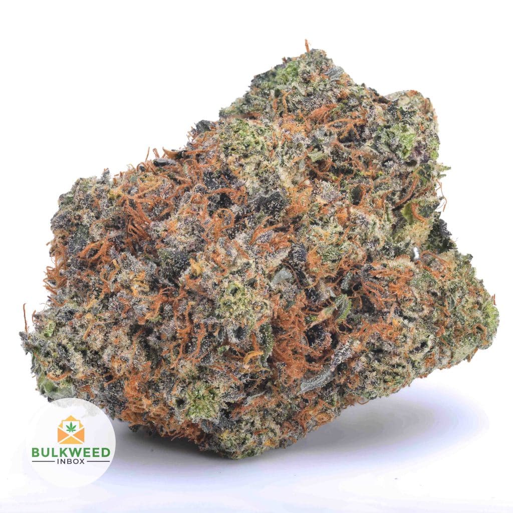 MIKE-TYSON-NELSON-FARM-CRAFT-AAAA1-2