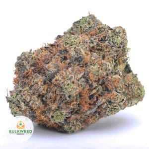 MIKE-TYSON-NELSON-FARM-CRAFT-AAAA1-2