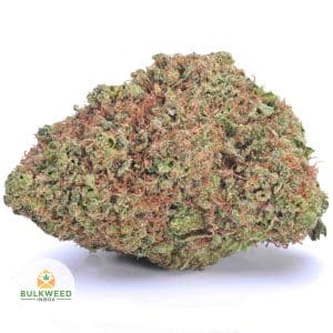 NORTHERN-LIGHTS-AAA1-2