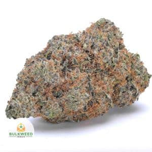 NORTHERN-LIGHTS-AAA2