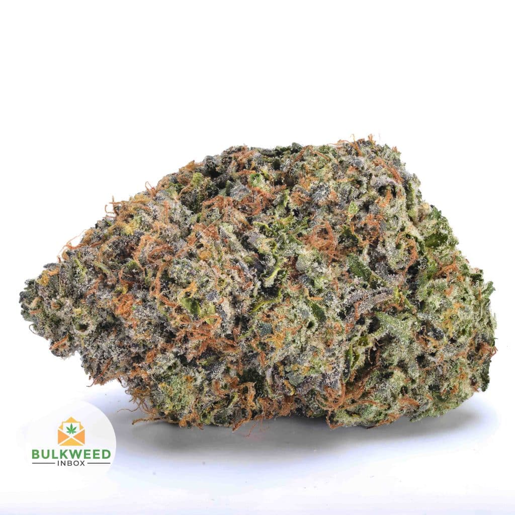 PLATINUM-PINK-NELSON-FARMS-AAAA1