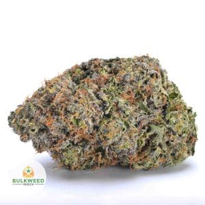 PLATINUM-PINK-NELSON-FARMS-AAAA1