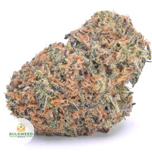 PURPLE-MONKEY-BALLS-AAA1