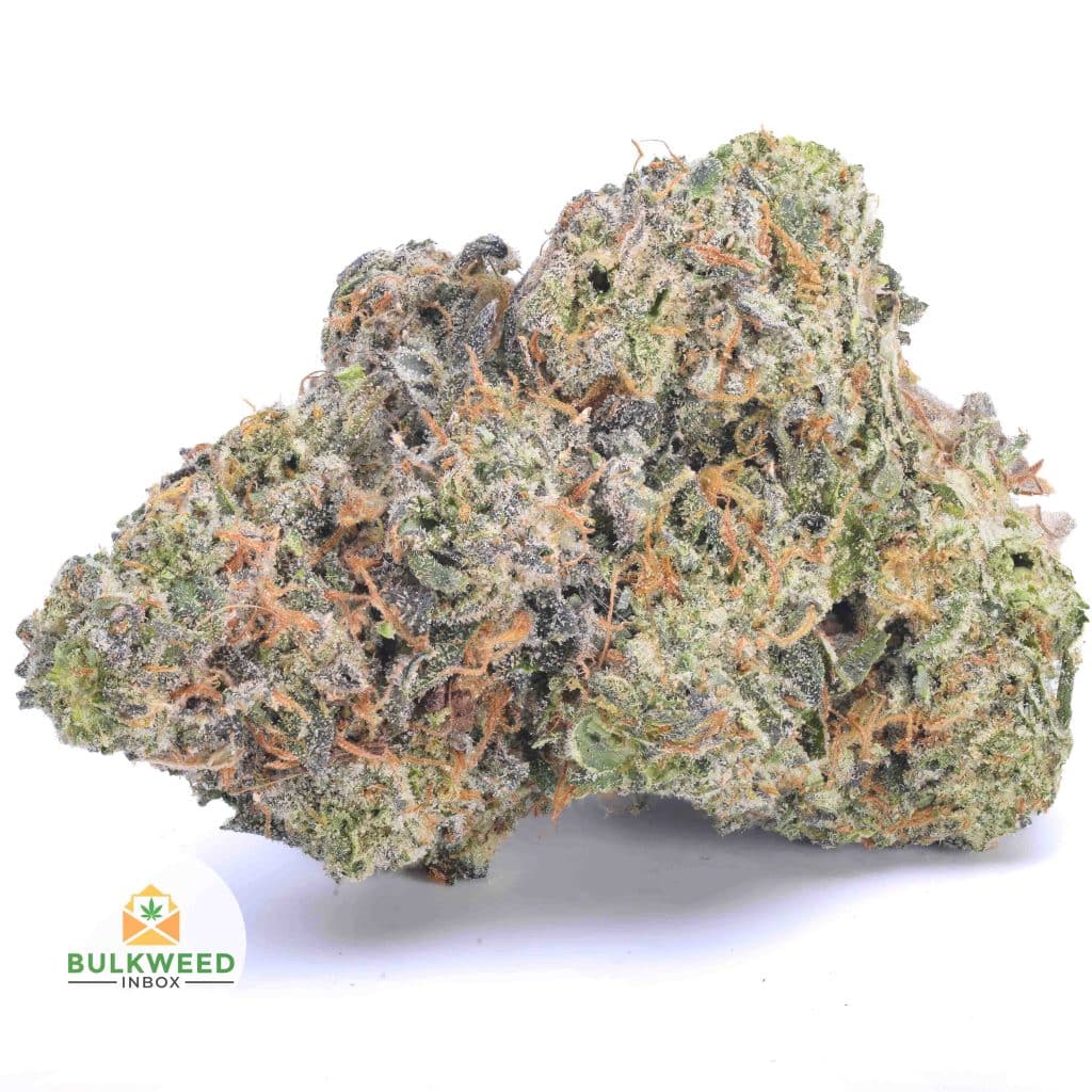 SHERBANGER-ISLAND-CRAFT-FARMS-AAAA1-2-2