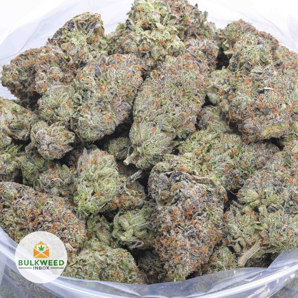 SUPER-BOOF-ISLAND-CRAFT-FARMS-2