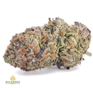 SUPER-BOOF-ISLAND-CRAFT-FARMS1-2