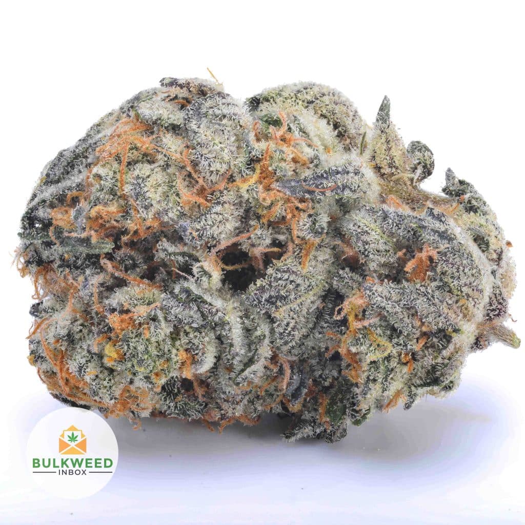 SUPER-LEMON-GLUE-AAA1-2