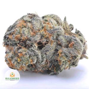 SUPER-LEMON-GLUE-AAA1-2