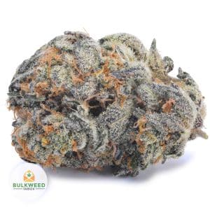 SUPER-LEMON-GLUE-AAA1-2-scaled-1