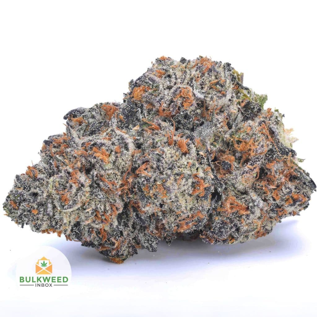 UNICORN-POOP-BBAAAA1-scaled-1