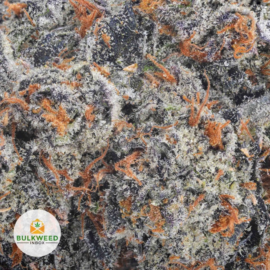 UNICORN-POOP-BBAAAA2