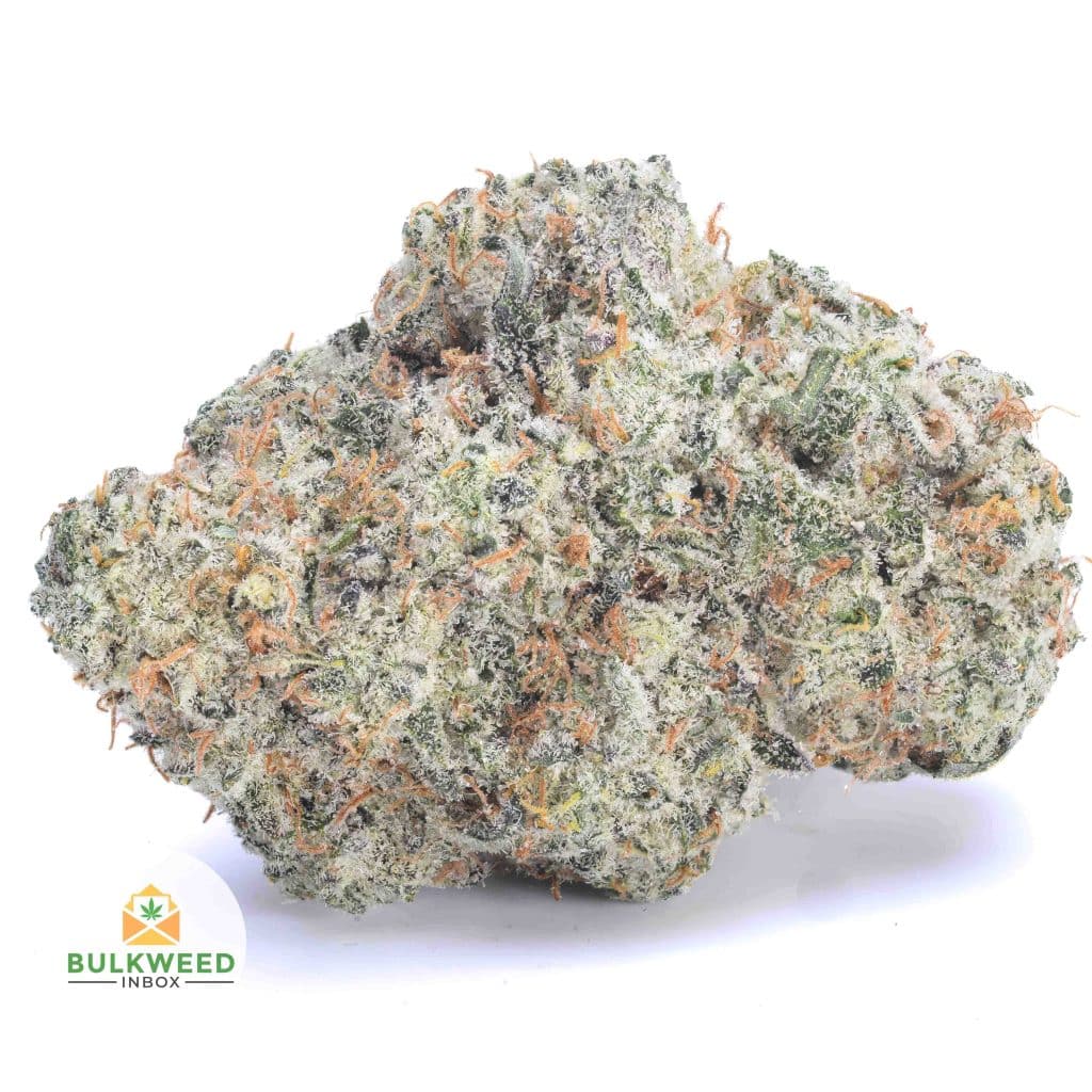 WHITE-RUSSIAN-AAA1-2