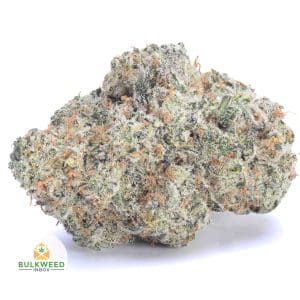 WHITE-RUSSIAN-AAA1-2