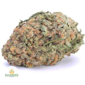 signal-2025-12-17-064657