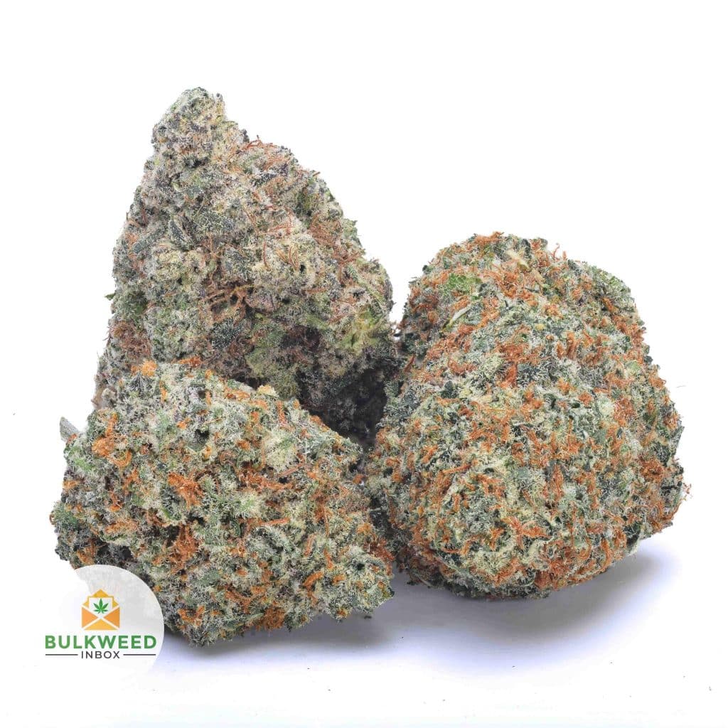 signal-2025-12-30-074902_002