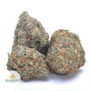 signal-2025-12-30-074902_002