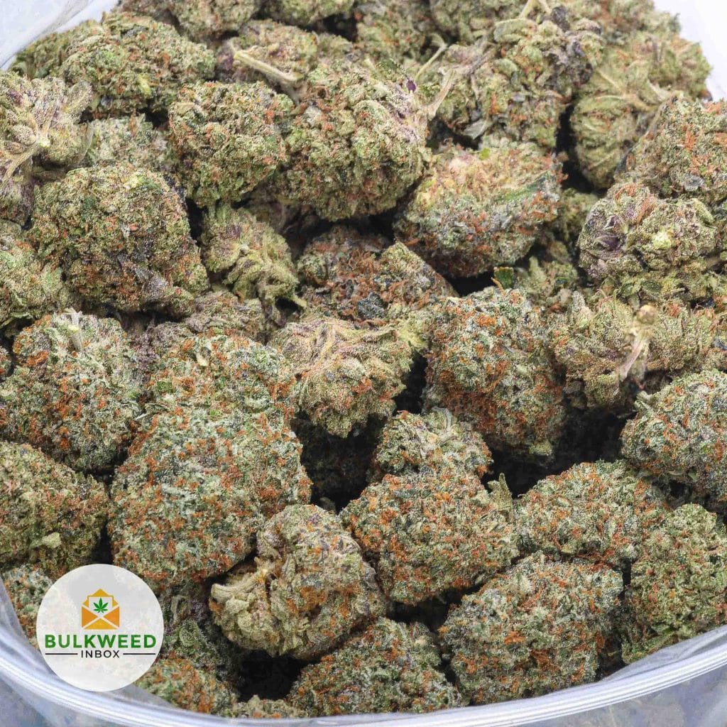 signal-2025-12-30-074902_003