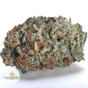 BLACKBERRY-KUSH-AAA1