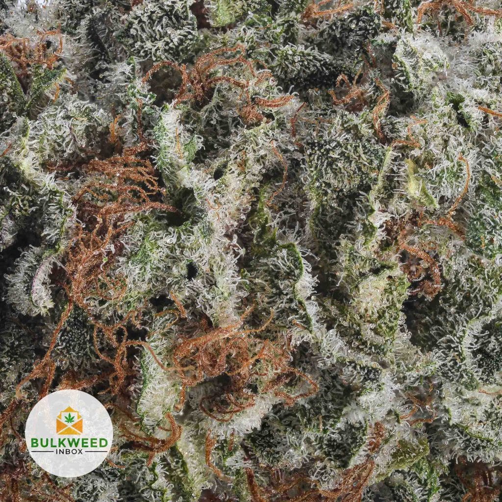 BLACKBERRY-KUSH-AAA2