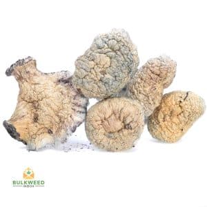 JEDI-MIND-FUCK-MUSHROOMS1-1