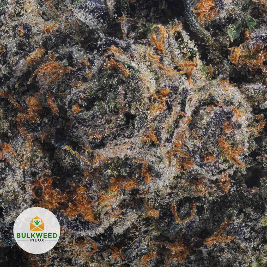 LONDON-POUND-CAKE-NELSON-FARMS-CRAFT-AAAA2