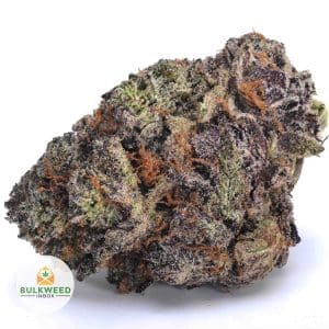 PURPLE-PUNCH-AAA1