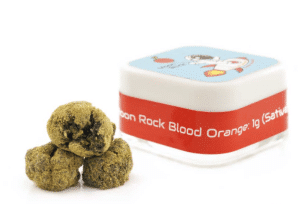 Screen-Shot-2022-05-04-at-10.25.32-AM