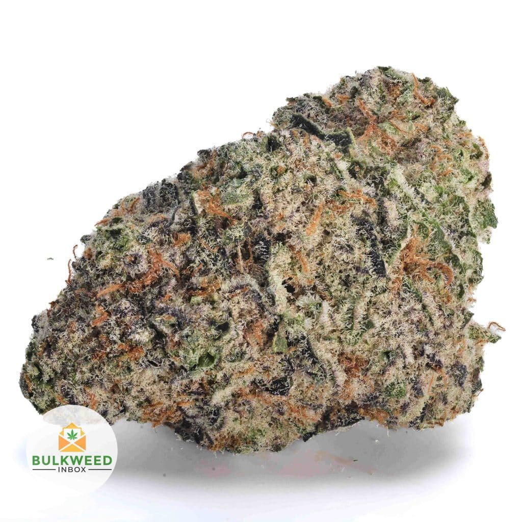 TROPICANA-CHERRY-NELSON-FARM-CRAFT-AAAA1