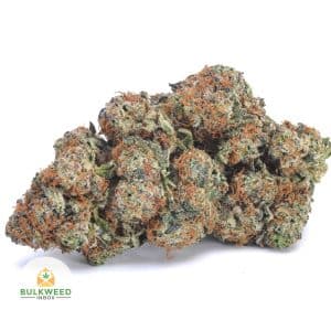 WHITE-RHINO-NELSON-FARMS-CRAFT-AAAA1