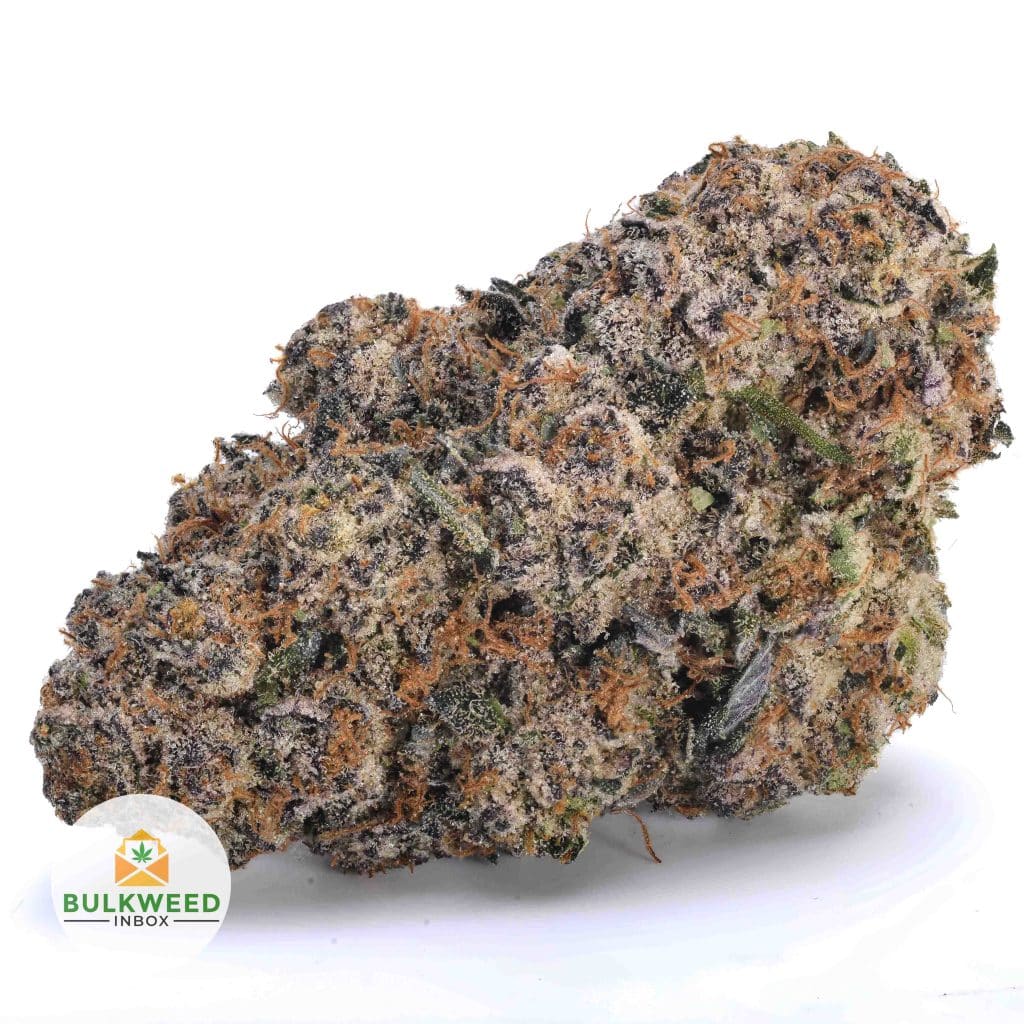 WHITE-TRUFFLE-NELSON-FARMS-CRAFT-AAAA1