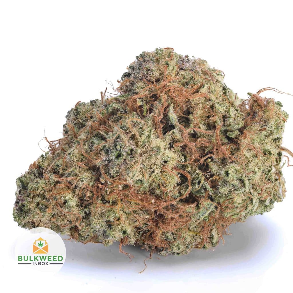 Ace-of-Spades-BB-AAA1