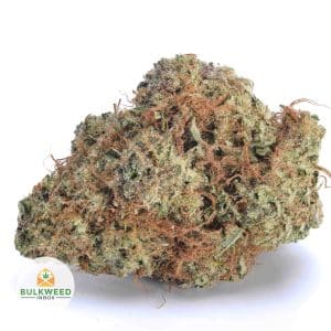 Ace-of-Spades-BB-AAA1