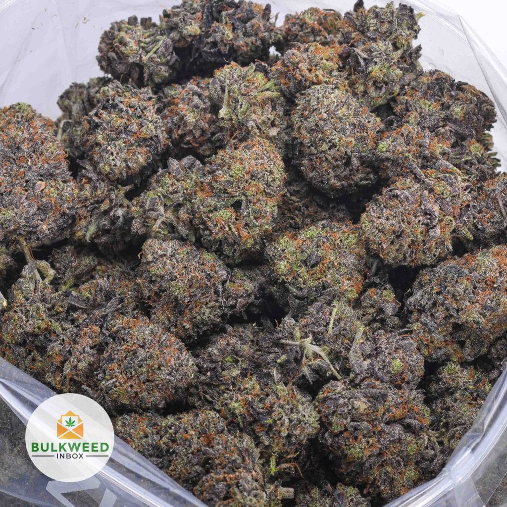 BLACK-PINK-DEATH-AAAA