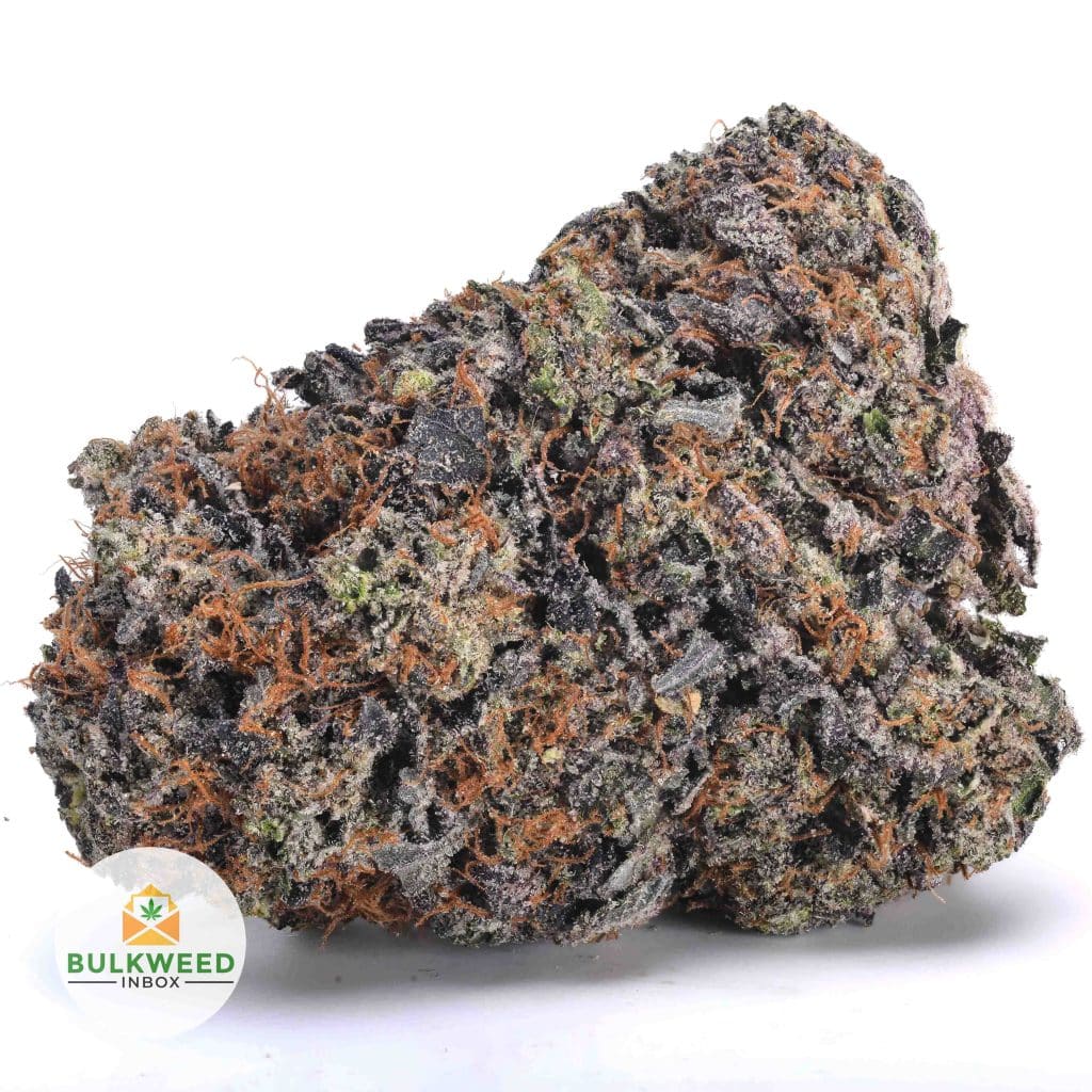 BLACK-PINK-DEATH-AAAA1