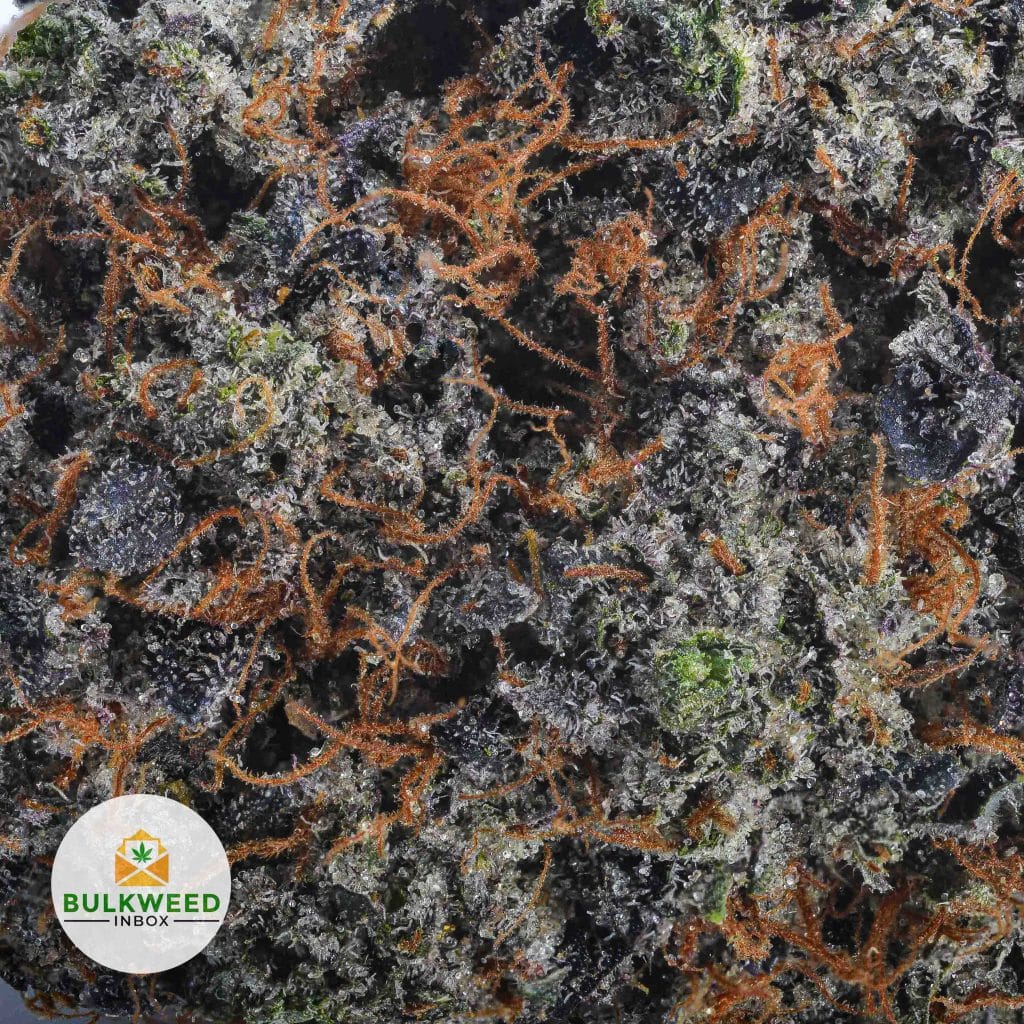 BLACK-PINK-DEATH-AAAA2