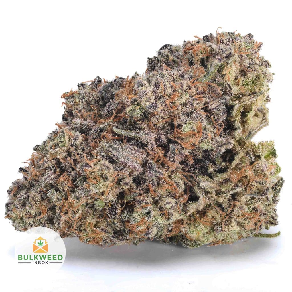 BLUEBERRY-GAS-BBAAA1
