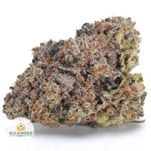 BLUEBERRY-GAS-BBAAA1