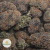 CANNALOPE-HAZE-3