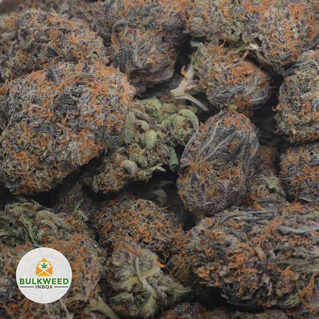 CANNALOPE-HAZE-3