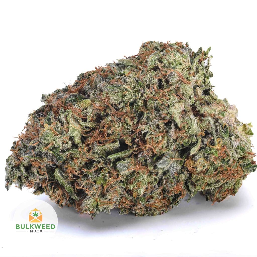 DEATH-COOKIES-BBAAAA1