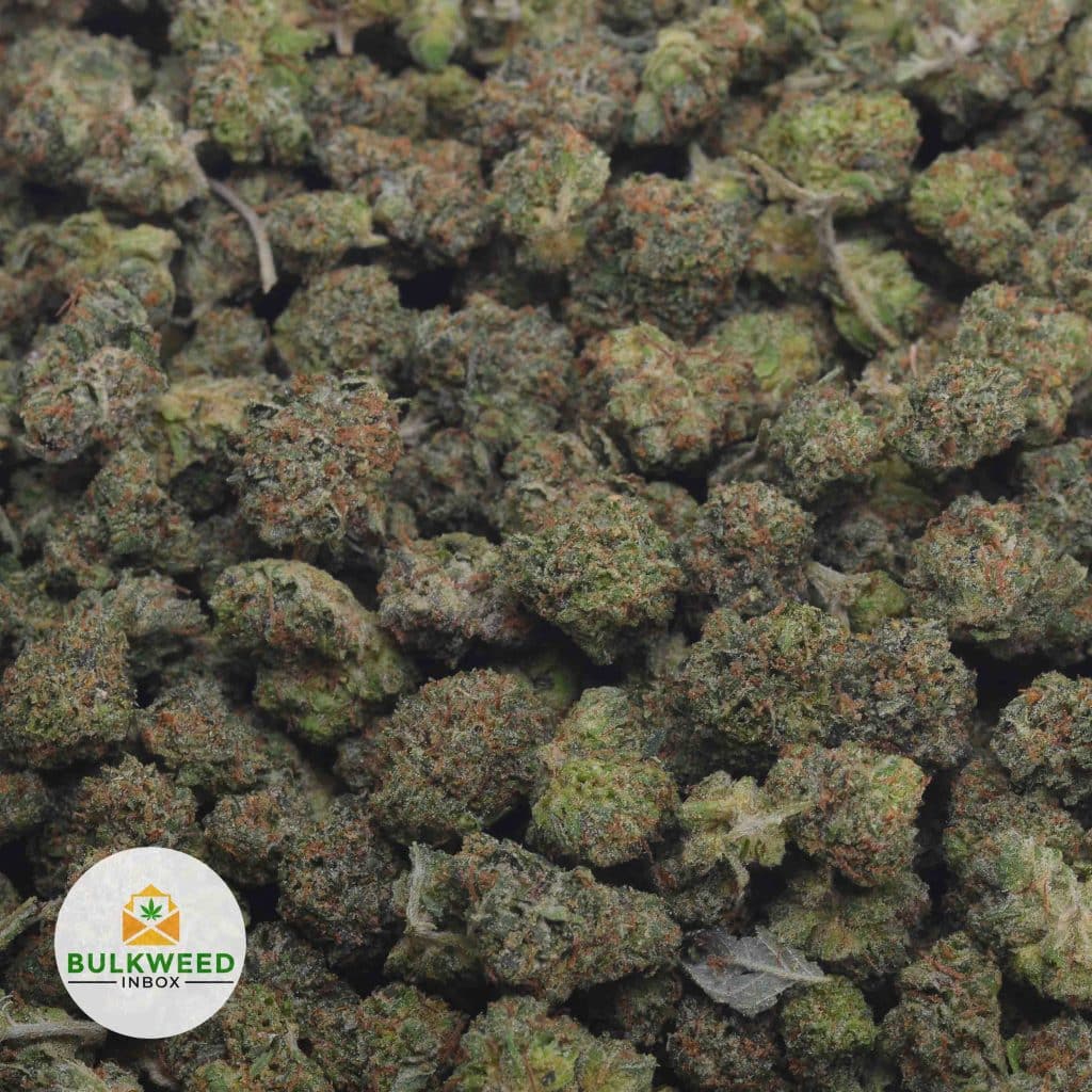 DEATHSTAR-POPCORN-2