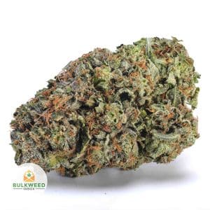 KING-LOUIS-XIII-BBAAAA1