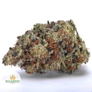 LA-CONFIDENTIAL-AAA1