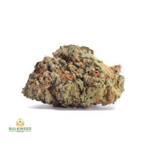 NORTHERN-LIGHTS