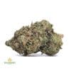 PINK-GAS