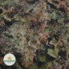 PINK-GAS-2